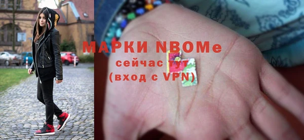 гидра Няндома