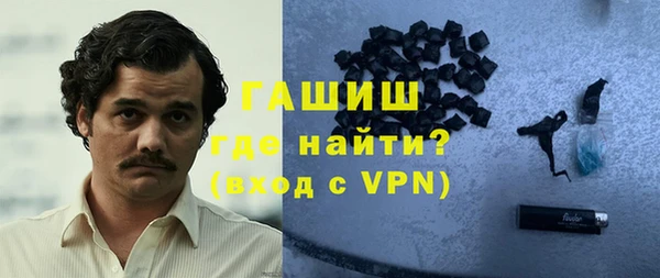 гидра Няндома