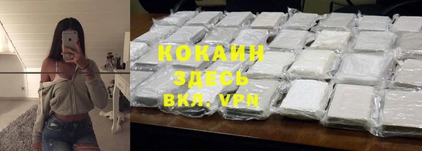 гидра Няндома