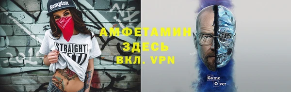 гидра Няндома