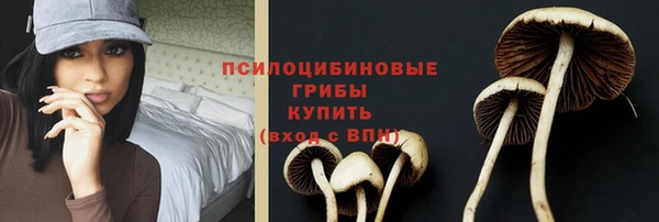 Альфа ПВП Нягань