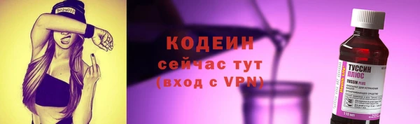 гидра Няндома