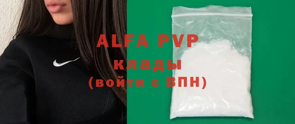 гидра Няндома