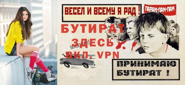 гидра Няндома