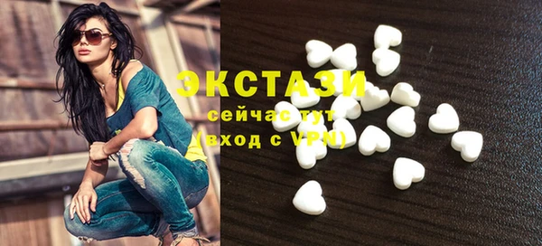 гидра Няндома