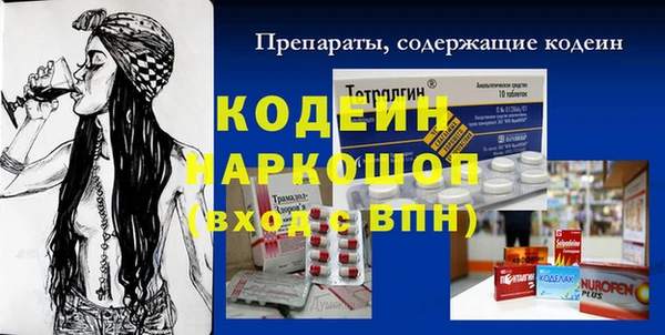 гидра Няндома