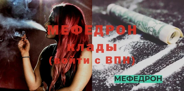 гидра Няндома