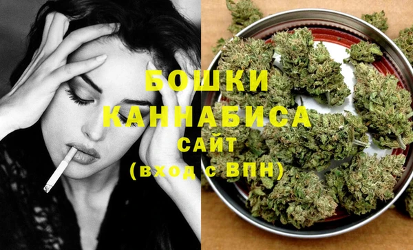 гидра Няндома