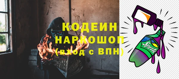 гидра Няндома