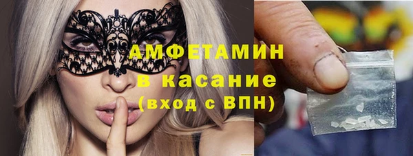 гидра Няндома