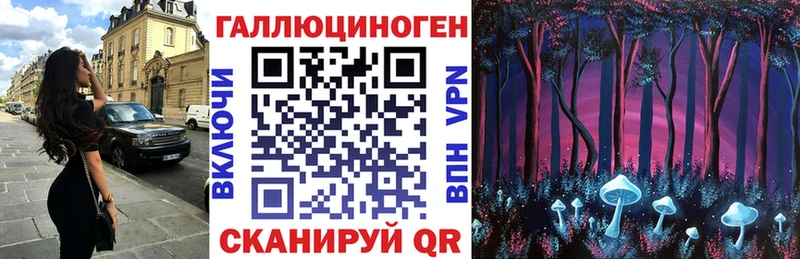 Галлюциногенные грибы прущие грибы  Курильск 